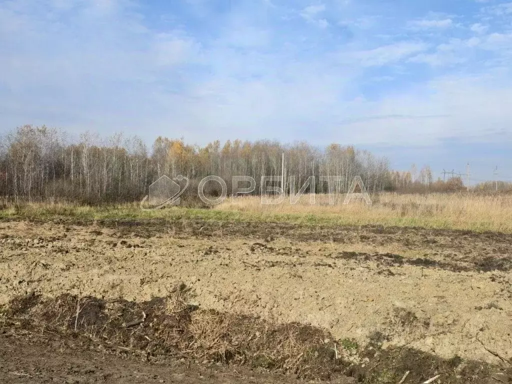 Участок в Тюменская область, Тюменский муниципальный округ, с. Борки  ... - Фото 2