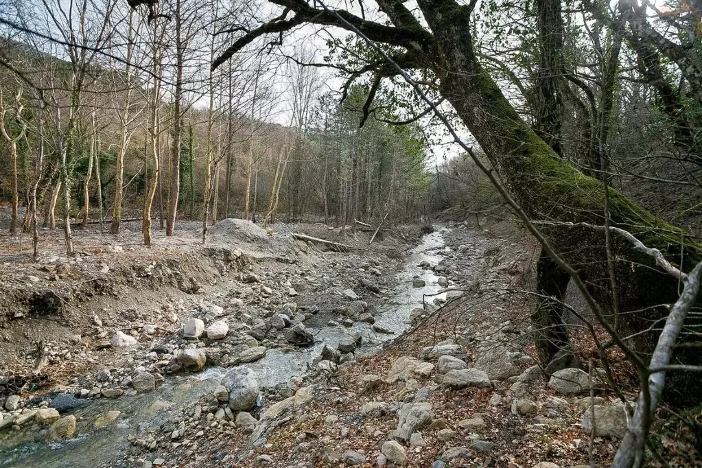 Участок в Крым, Ялта муниципальный округ, Виноградное пгт  (15.0 сот.) - Фото 1