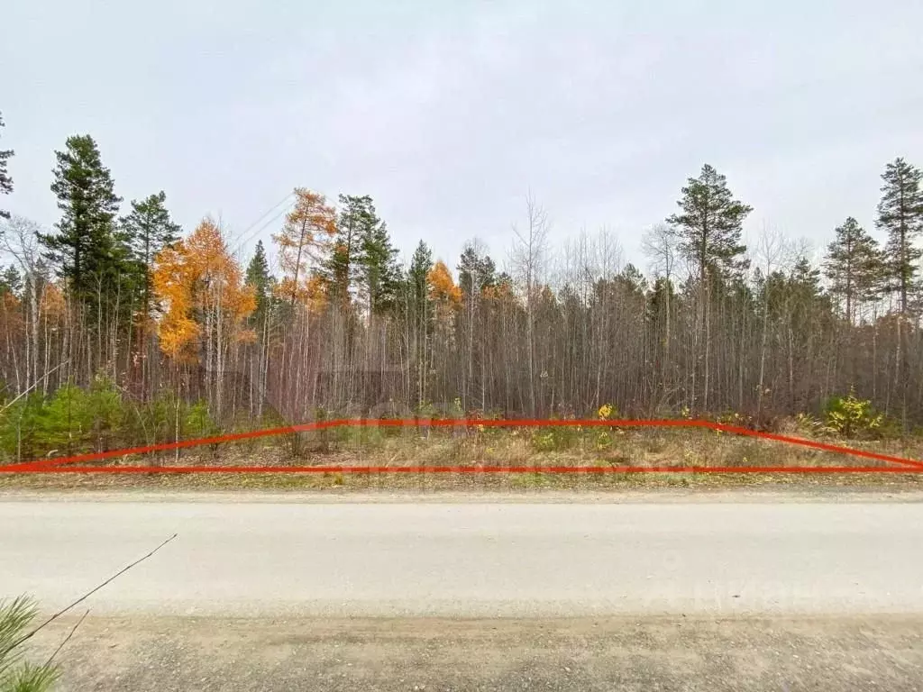 Участок в Иркутская область, Иркутский муниципальный округ, Светлый Яр ... - Фото 0