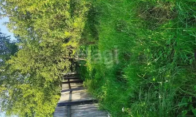 Участок в Ярославская область, Ярославский муниципальный округ, Росток ... - Фото 1