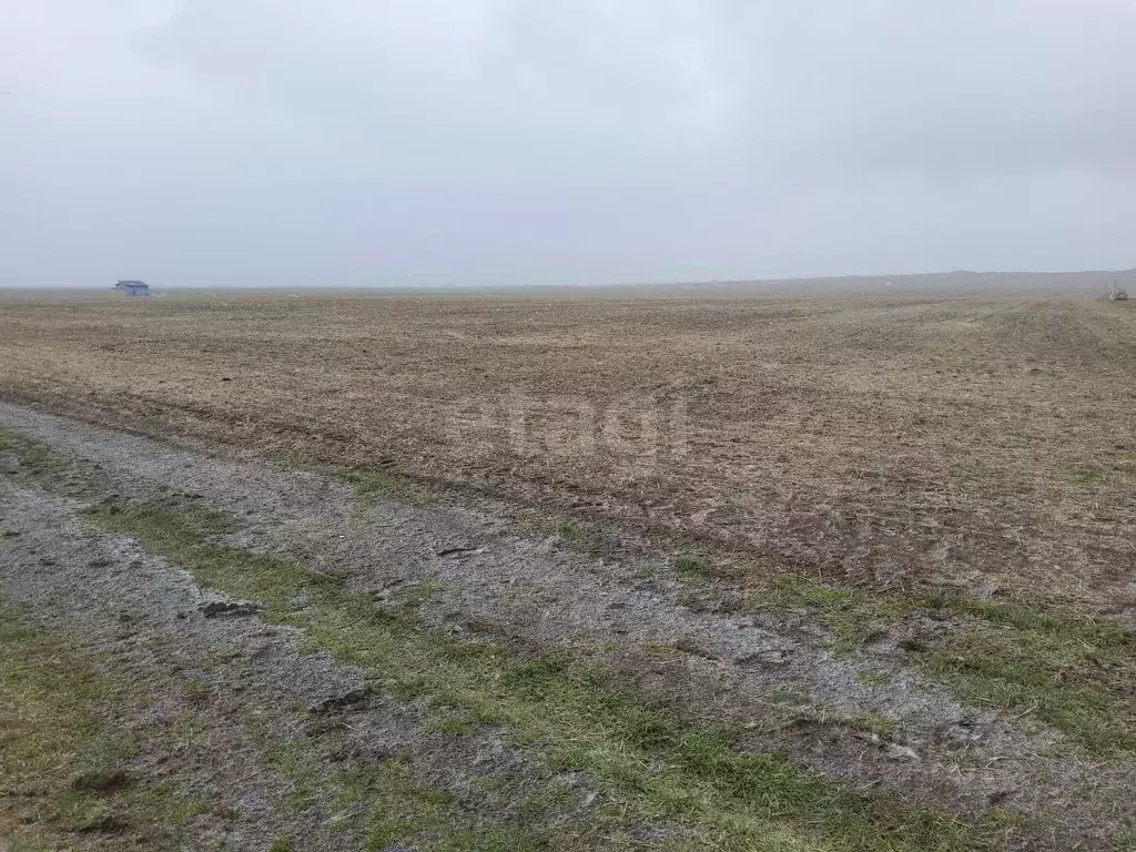 Участок в Крым, Ленинский район, Семисотское с/пос, с. Каменское ул. ... - Фото 1