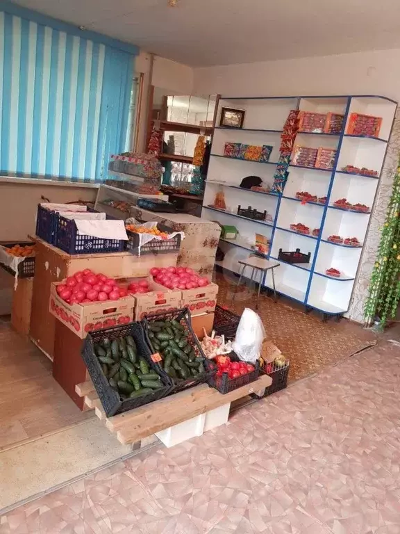 Торговая площадь в Челябинская область, Уйский муниципальный округ, ... - Фото 1