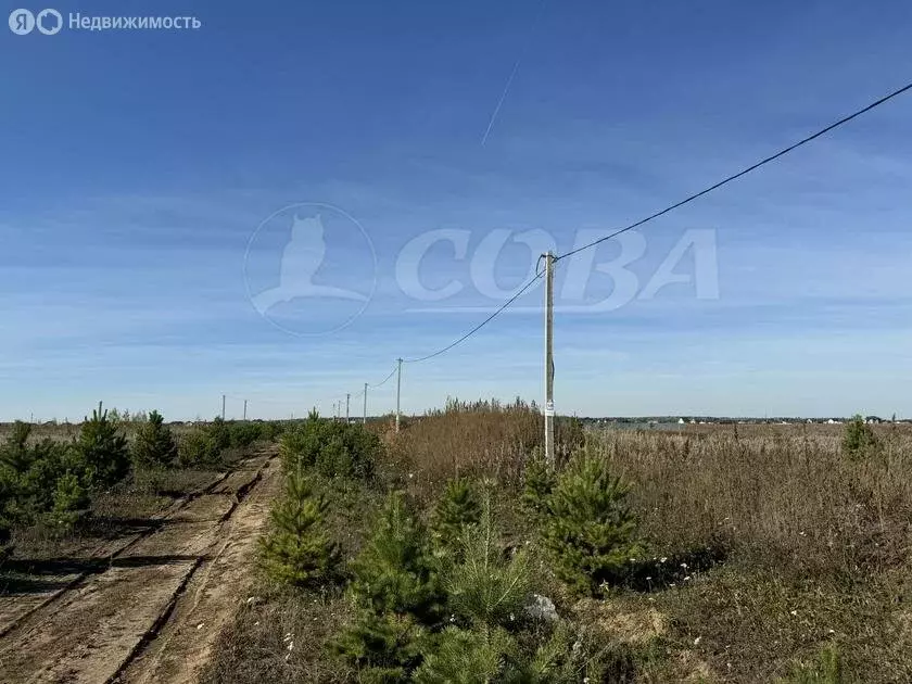 Участок в Тюменский район, село Успенка (9.6 м) - Фото 1