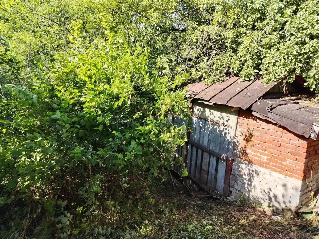 Участок в Нижегородская область, Нижний Новгород Яблоко СНТ,  (5.2 ... - Фото 2