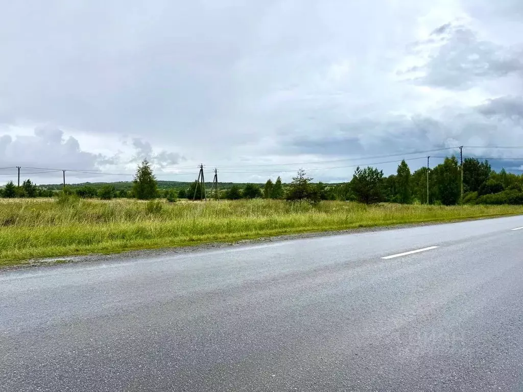 Участок в Татарстан, Пестречинский район, Богородское с/пос  (10.0 ... - Фото 1
