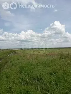 Участок в Ишим, СДТ Энергетик (4 м) - Фото 2