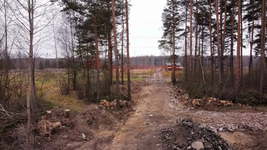 Участок в Московская область, Богородский городской округ, д. Пешково  ... - Фото 2