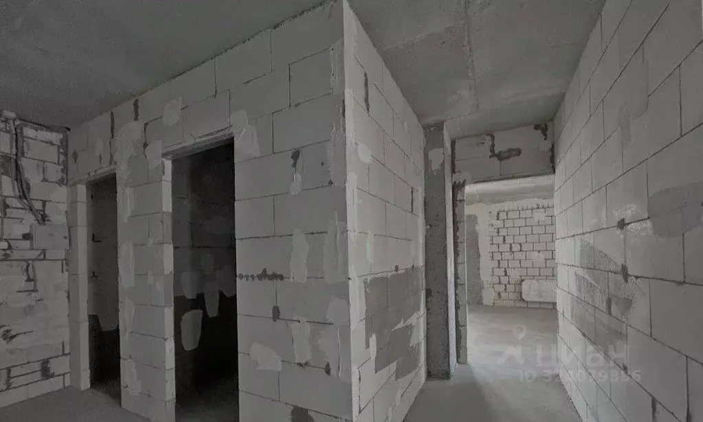 2-к кв. Нижегородская область, Нижний Новгород ул. Белинского, 66 ... - Фото 2