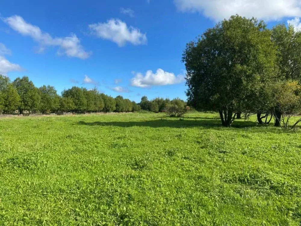 Участок в Ленинградская область, Всеволожский район, Рахьинское ... - Фото 1