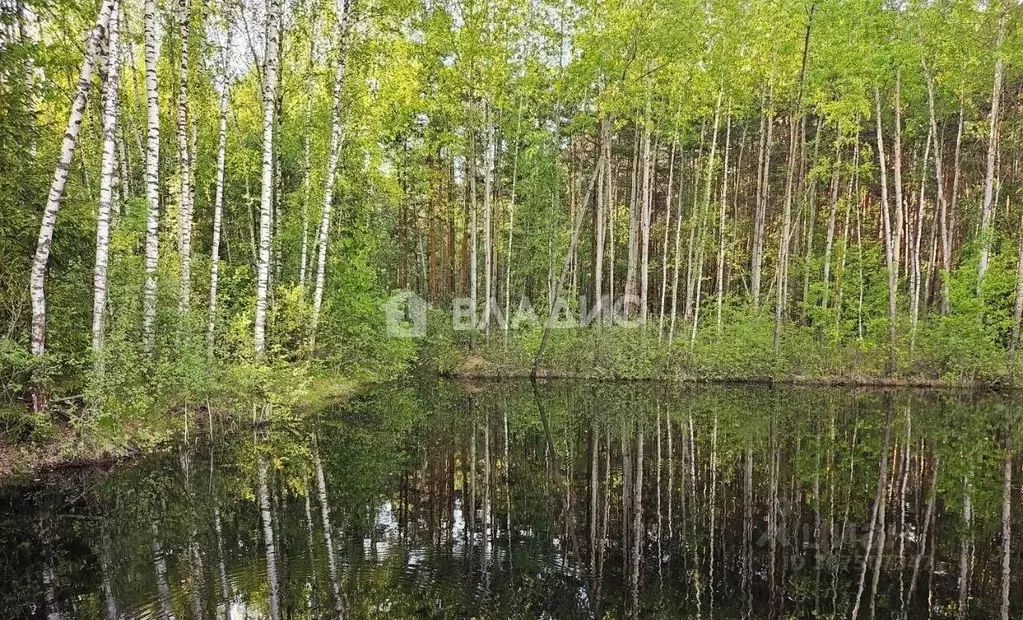 Участок в Московская область, Раменский городской округ, с. Зюзино ул. ... - Фото 0