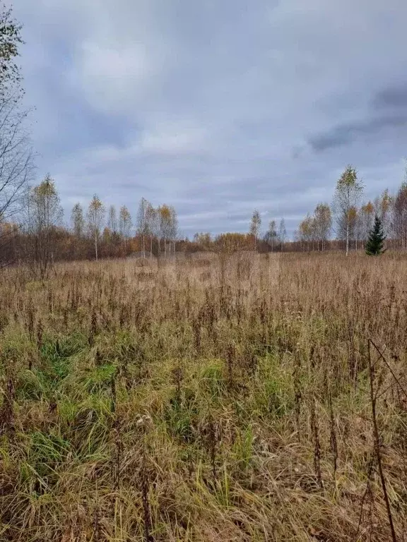 Участок в Костромская область, Шарья городской округ, д. Алешунино ул. ... - Фото 1