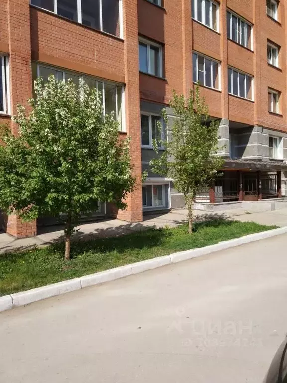 Помещение свободного назначения в Новосибирская область, Новосибирск ... - Фото 2