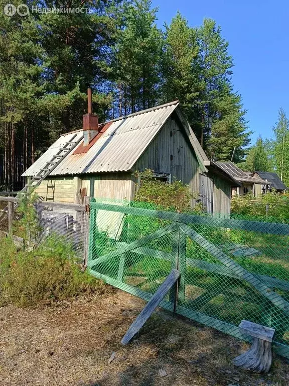 Дом в Республика Карелия, посёлок городского типа Лоухи (50 м) - Фото 1
