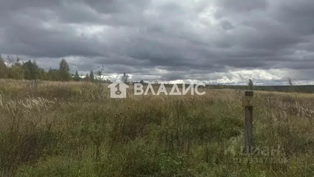 Участок в Нижегородская область, Богородский муниципальный округ, с. ... - Фото 1
