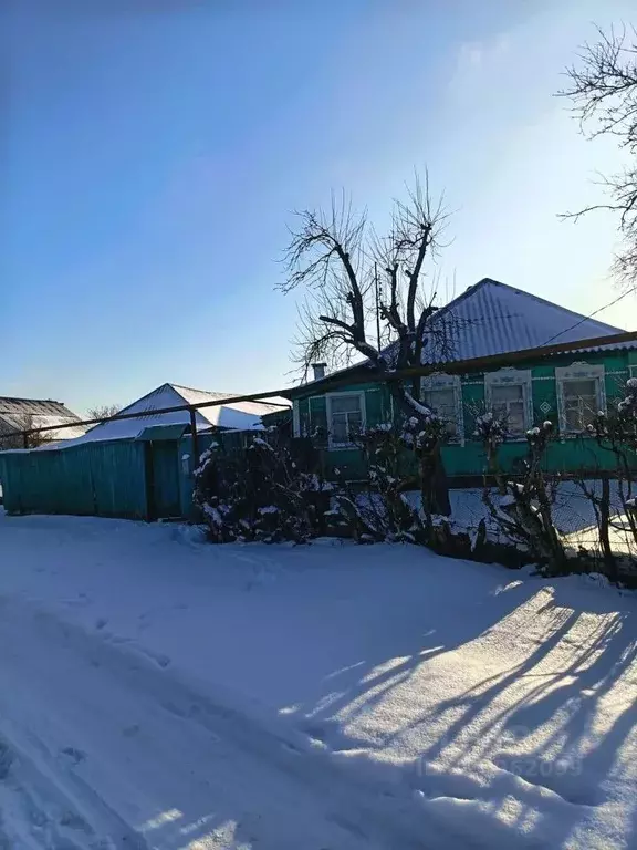 Дом в Курская область, Курский район, д. Полевая ул. Набережная, 133 ... - Фото 1