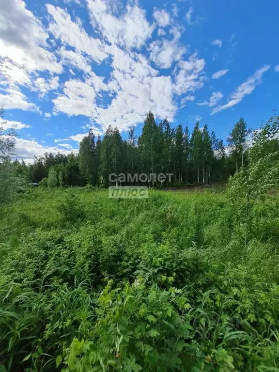 Участок в Ханты-Мансийский АО, Ханты-Мансийск Маяк СОТ,  (10.0 сот.) - Фото 0