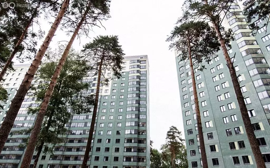 1-комнатная квартира: Королёв, микрорайон Юбилейный, улица М.К. ... - Фото 1