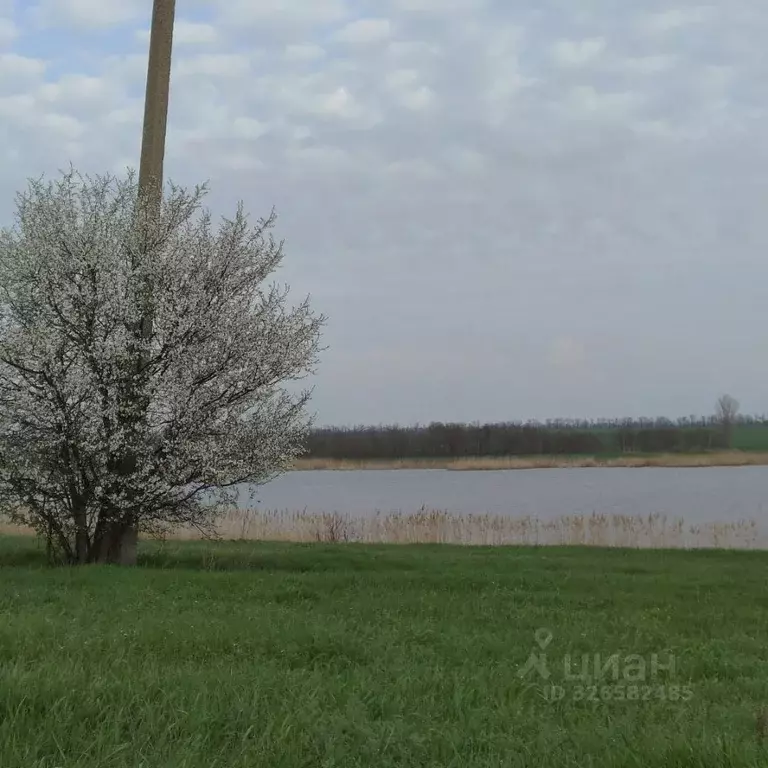 Участок в Краснодарский край, Щербиновский район, Новощербиновская ... - Фото 1