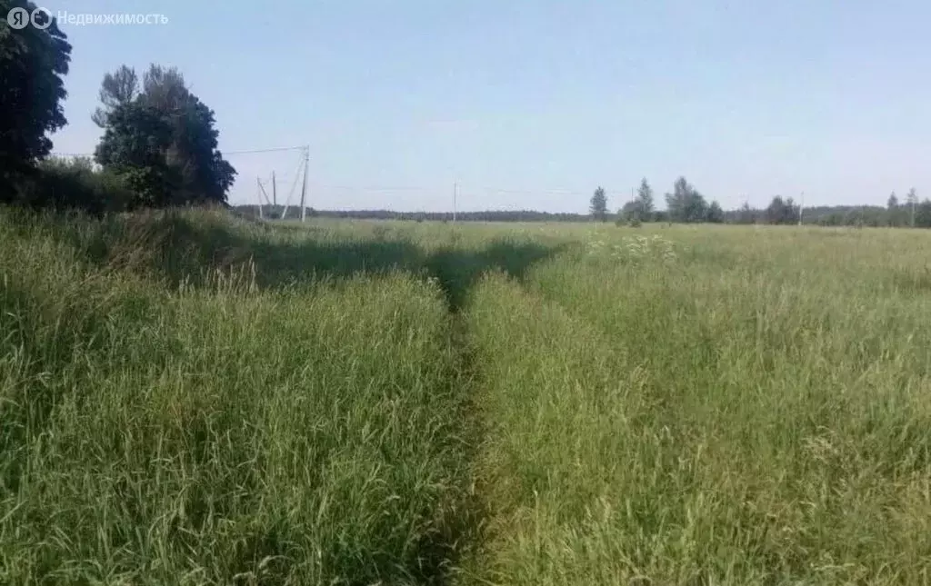 Участок в Тверская область, Калининский муниципальный округ, деревня ... - Фото 2