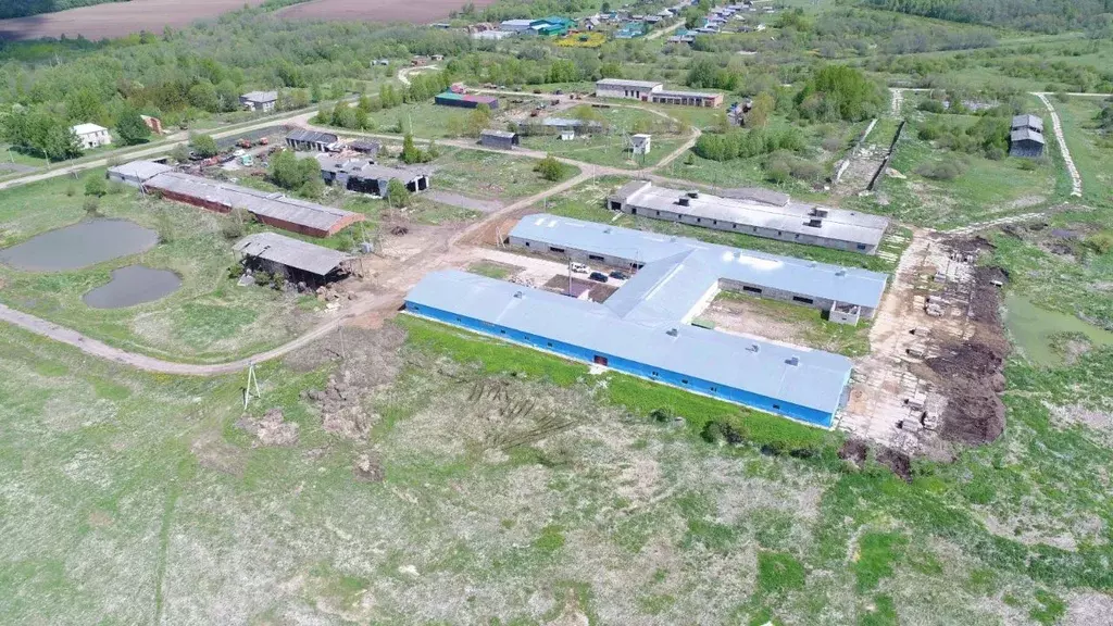 Производственное помещение в Ярославская область, Угличский ... - Фото 2