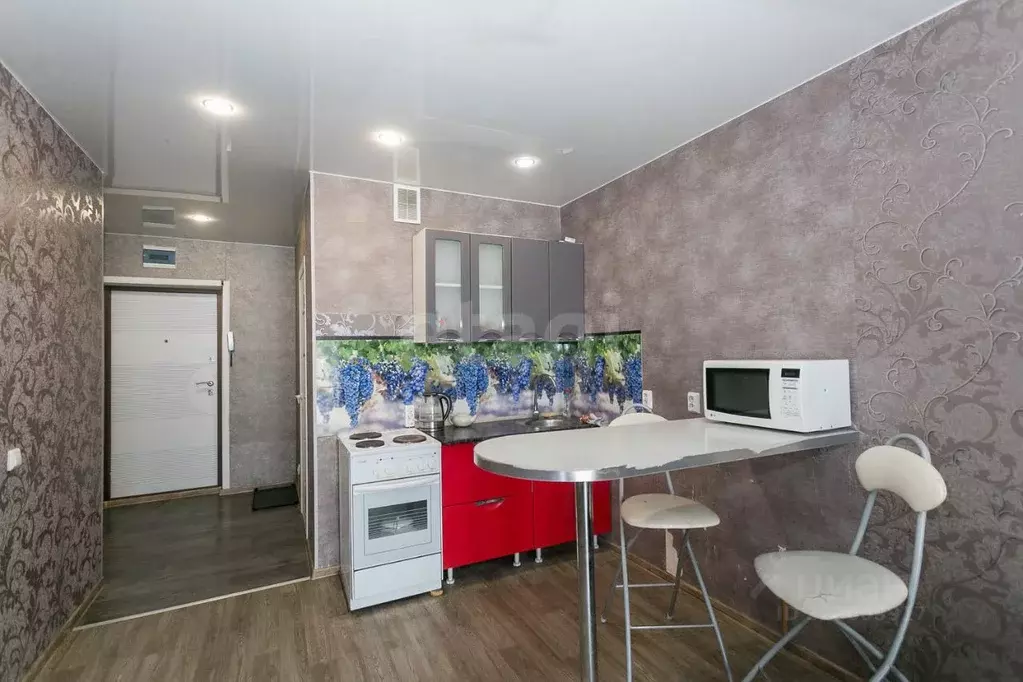 Студия Новосибирская область, Новосибирск ул. Забалуева, 88 (30.0 м) - Фото 2