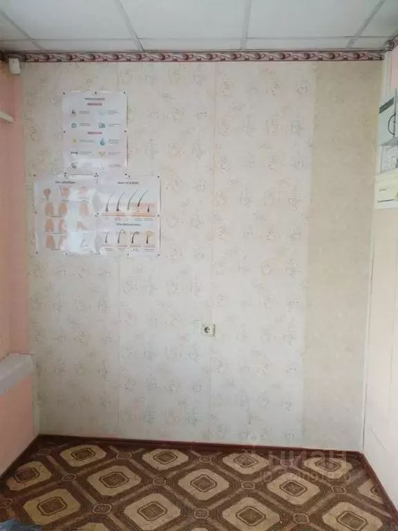 Помещение свободного назначения в Новосибирская область, Мошково рп ... - Фото 1