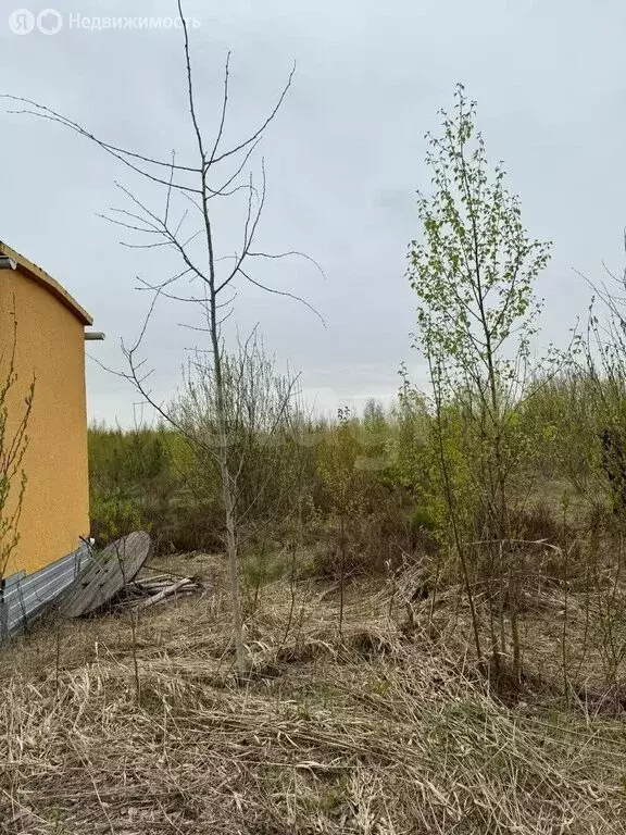 Участок в Колтушское городское поселение, деревня Ёксолово, Новая ... - Фото 1