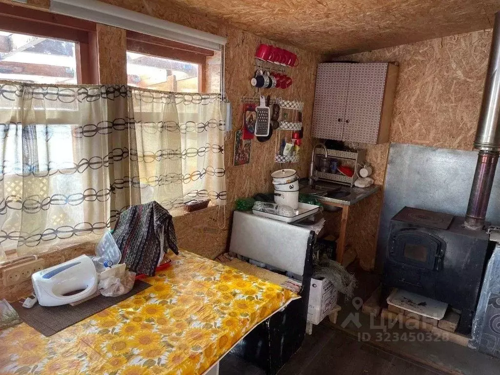 Участок в Камчатский край, Елизовский муниципальный округ, Чайка СНТ  ... - Фото 2