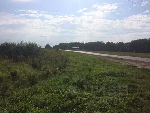 Участок в Нижегородская область, Богородск  (150.0 сот.) - Фото 1