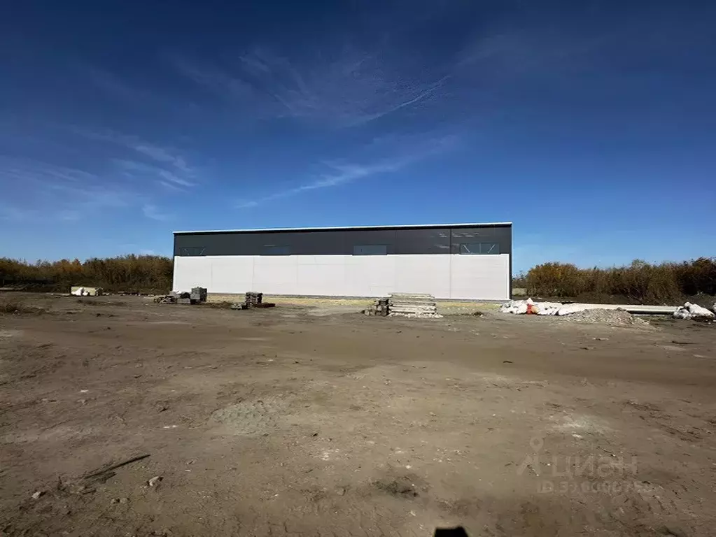 Помещение свободного назначения в Алтайский край, Барнаул просп. ... - Фото 0