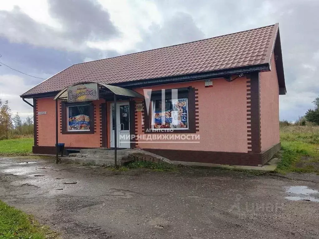 Торговая площадь в Калининградская область, Славский муниципальный ... - Фото 2