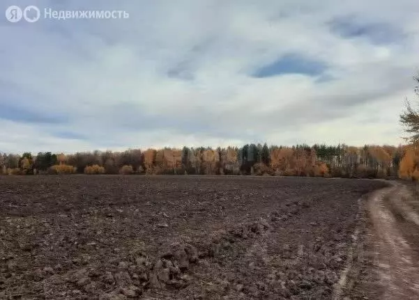 Участок в село Сокуры, коттеджный посёлок Новые Сокуры- 3, улица ... - Фото 2