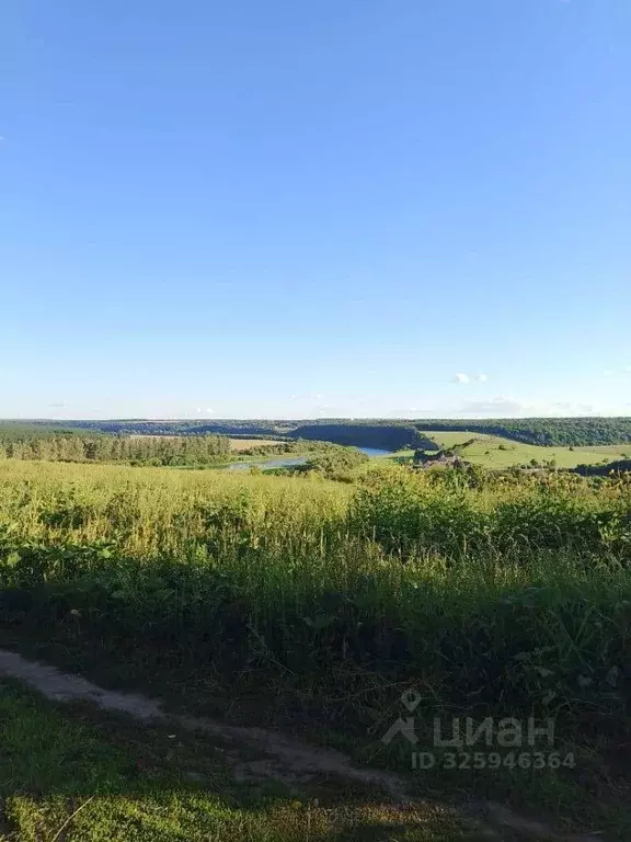 Участок в Липецкая область, Задонский муниципальный округ, д. ... - Фото 2