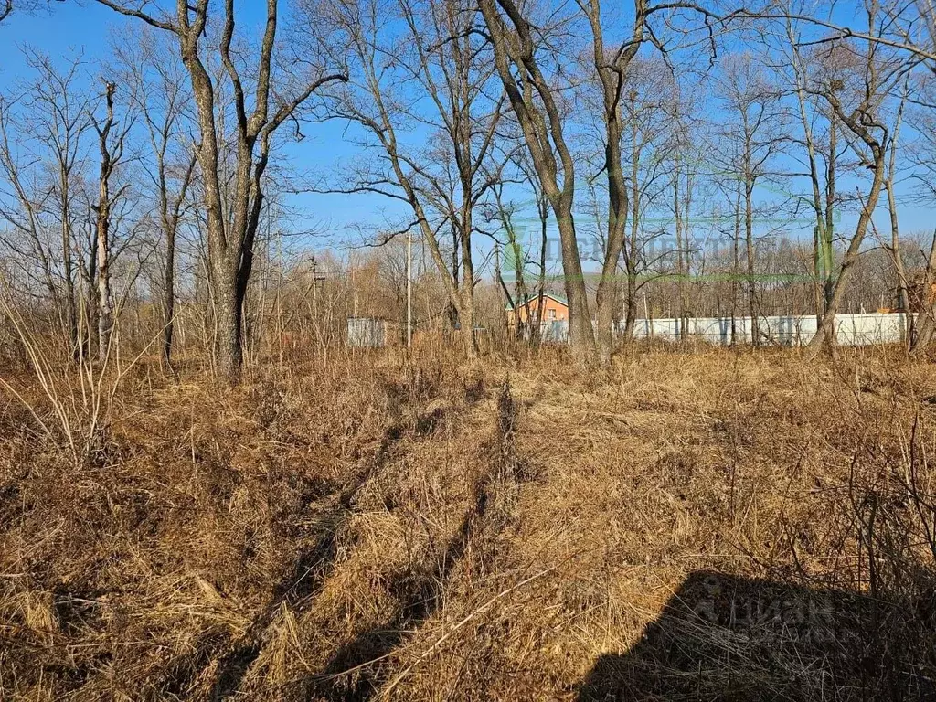 Участок в Приморский край, Артемовский городской округ, с. Ясное ул. ... - Фото 1