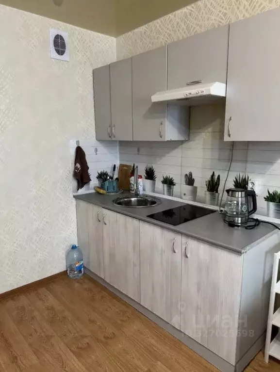 Студия Кировская область, Киров ул. Ивана Попова, 62 (25.0 м) - Фото 2