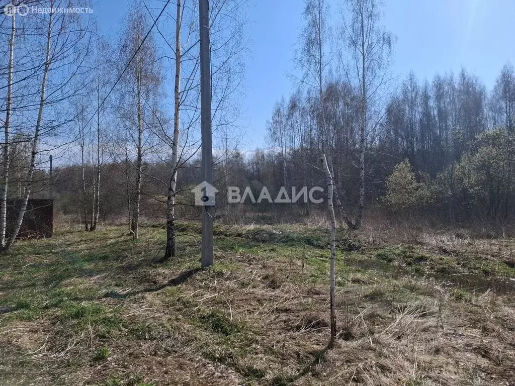 Участок в Владимирская область, Судогодский муниципальный округ, ... - Фото 0
