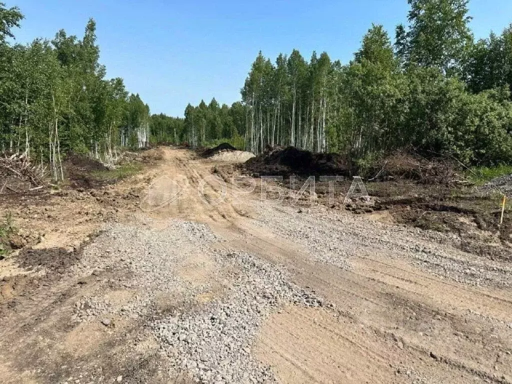Участок в Тюменская область, Нижнетавдинский район, Строитель ТСН 786 ... - Фото 0