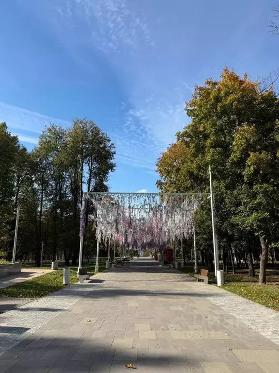 Помещение свободного назначения в Московская область, Истра Советская ... - Фото 2