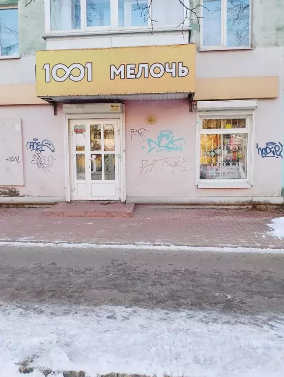 Помещение свободного назначения в Нижегородская область, Дзержинск ул. ... - Фото 1