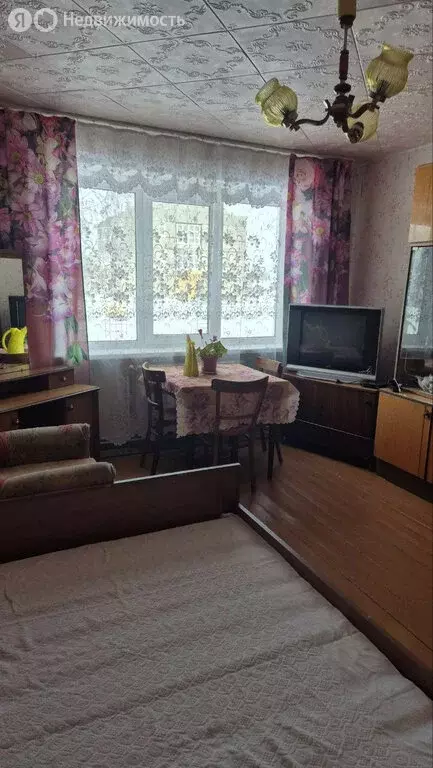 1-комнатная квартира: деревня Березино, Центральная улица, 4 (33 м) - Фото 1