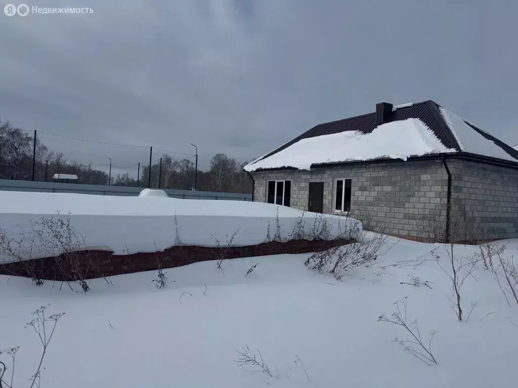 Дом в село Еткуль, Солнечная улица, 28 (174 м) - Фото 2