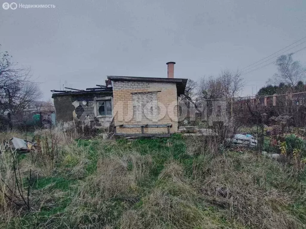 Участок в деревня Нижняя Лужна, Банный переулок (25 м) - Фото 2