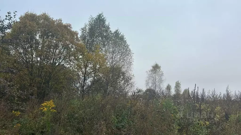 Участок в Московская область, Ступино городской округ, д. Толбино  ... - Фото 1