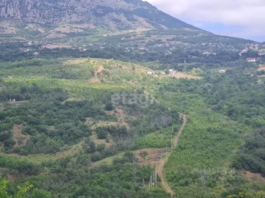 Участок в Крым, Алушта муниципальный округ, с. Лучистое ул. Грушевая, ... - Фото 1
