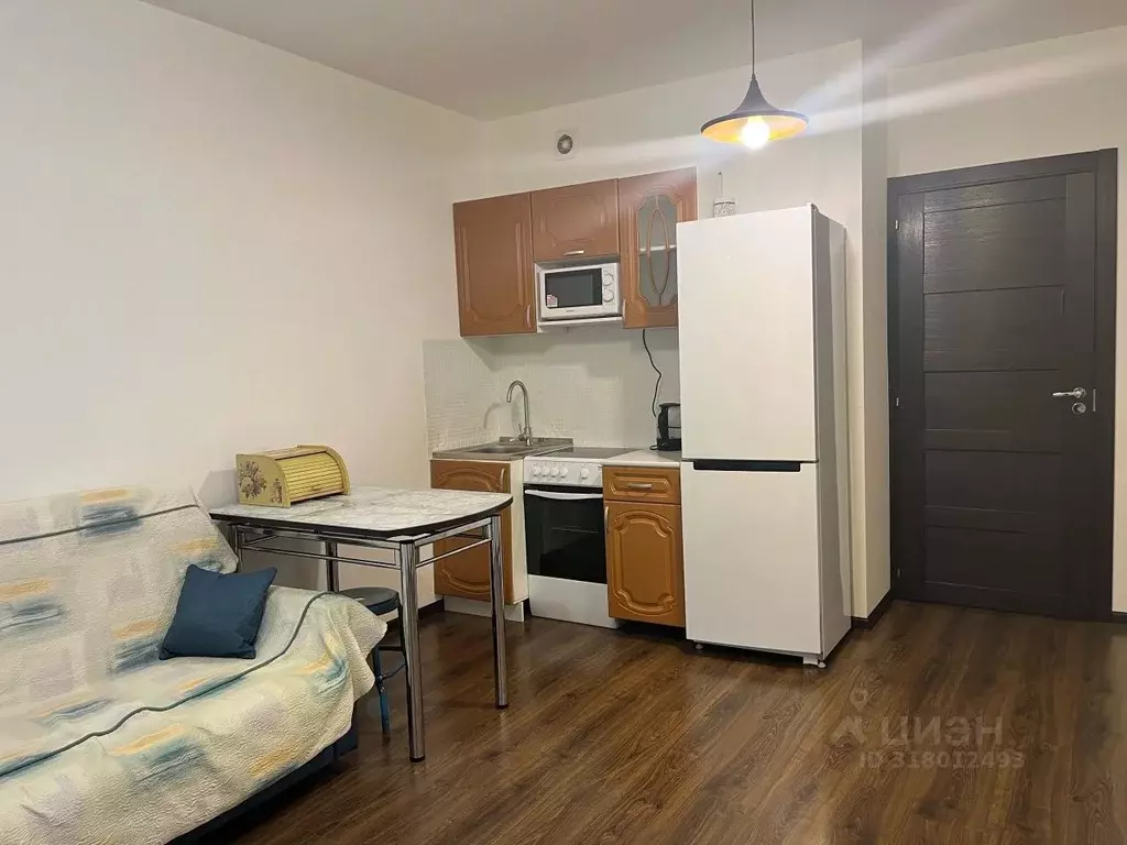 Студия Санкт-Петербург просп. Ветеранов, 173к7 (24.4 м) - Фото 1