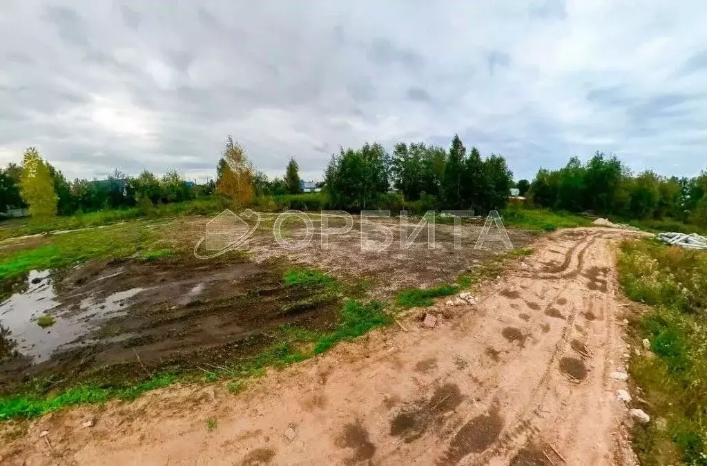 Участок в Тюменская область, Тюмень Яровское садовое товарищество, ул. ... - Фото 1