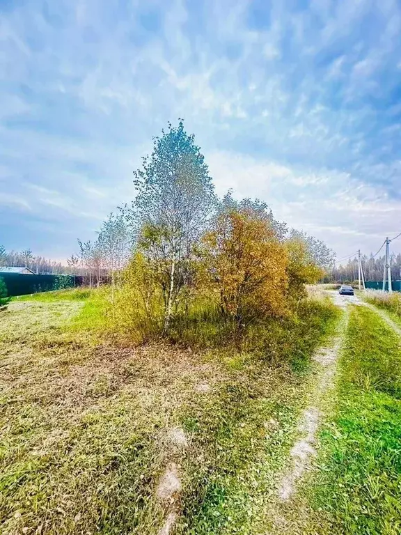 Участок в Московская область, Серпухов городской округ, д. Нижнее ... - Фото 2