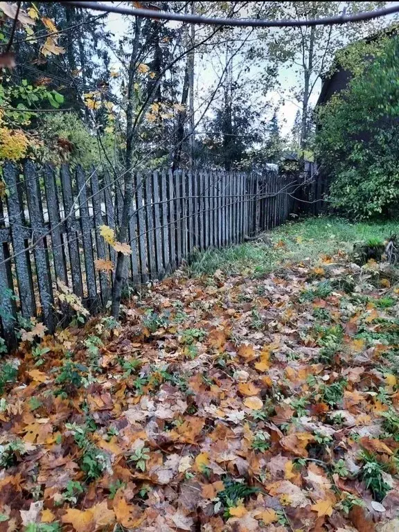 Дом в Ленинградская область, Гатчинский район, Вырица городской ... - Фото 1