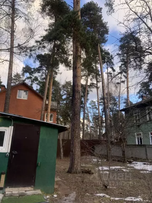 Дом в Московская область, Люберцы городской округ, Малаховка пгт ул. ... - Фото 1