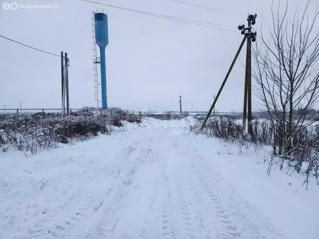 Участок в Брянский район, село Глинищево (16.45 м) - Фото 2